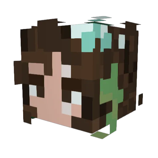 _CreativeCreeper Minecraft avatar head, 3D render