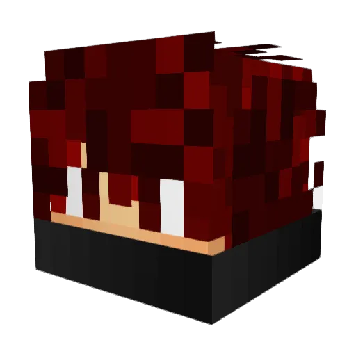 _Crevette_ Minecraft avatar head, 3D render