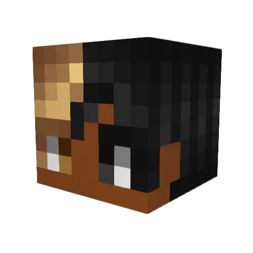_Criss_ Minecraft avatar head, 3D render