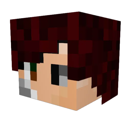 _Crunchy_Bones_ Minecraft avatar head, 3D render