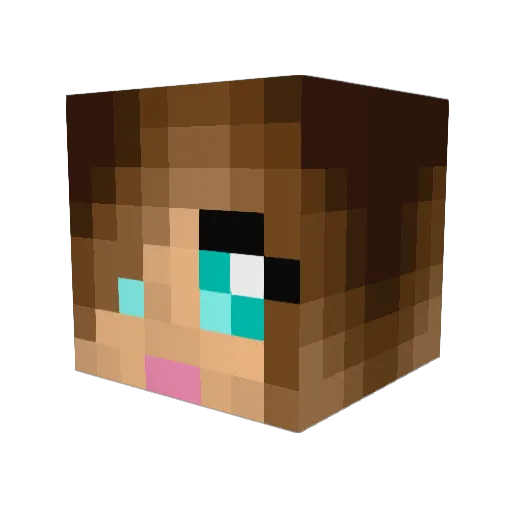 _CryTech_ Minecraft avatar head, 3D render