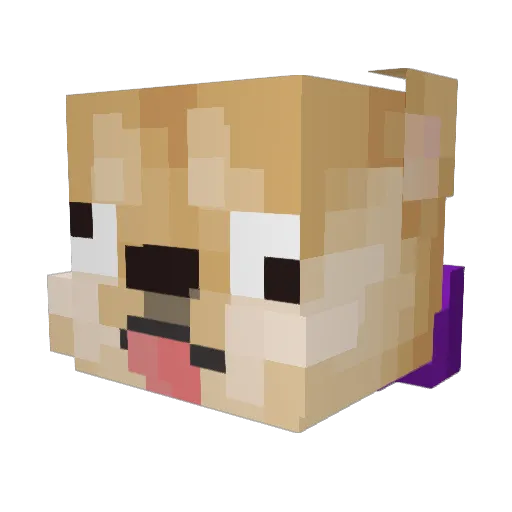 _D0G_ Minecraft avatar head, 3D render