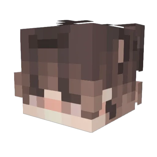 _D1N0ZAUR2906_ Minecraft avatar head, 3D render