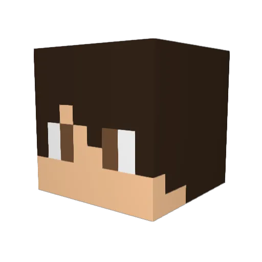 _DCAFEE_ Minecraft avatar head, 3D render