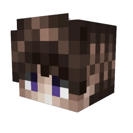 _DL14 Minecraft avatar head, 3D render