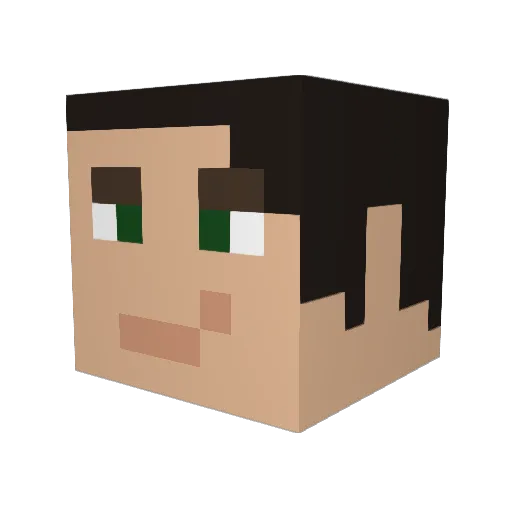 _DSZ_ Minecraft avatar head, 3D render