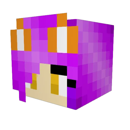 _Dailybard2 Minecraft avatar head, 3D render