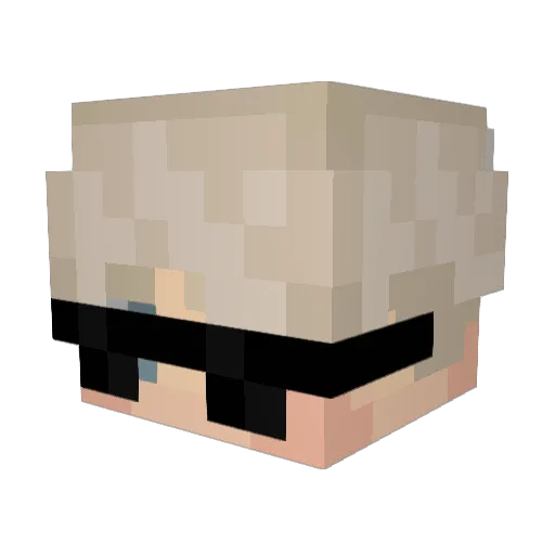 _Dandys7 Minecraft avatar head, 3D render
