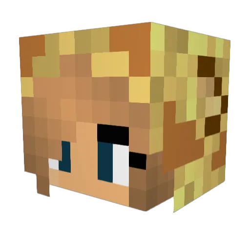 _DaniG_ Minecraft avatar head, 3D render
