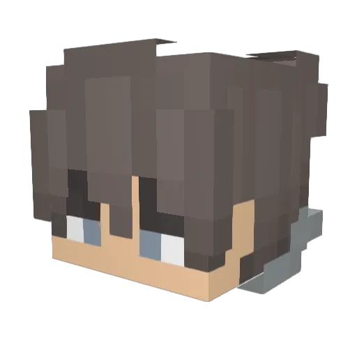 _Dark11 Minecraft avatar head, 3D render