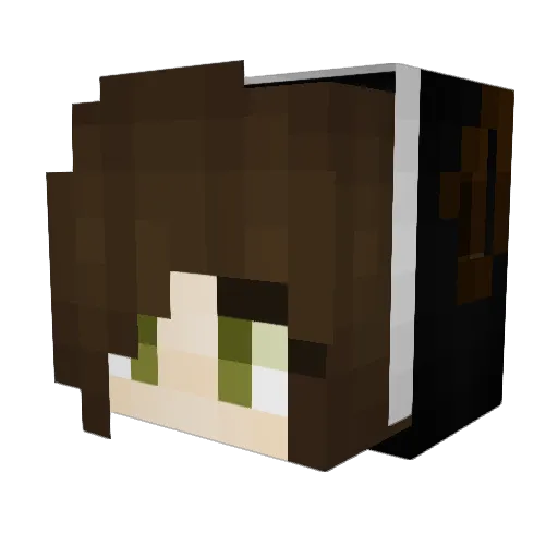 _DarkCroc_ Minecraft avatar head, 3D render