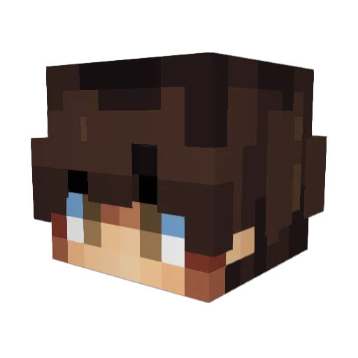 _DarkGhost_355 Minecraft avatar head, 3D render