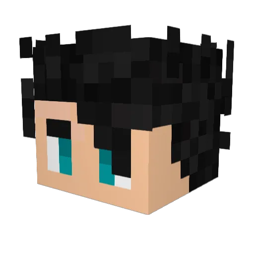 _DarkLight_PL Minecraft avatar head, 3D render