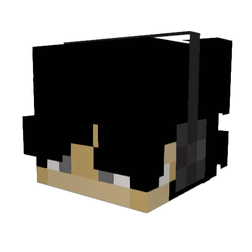 _DarkMC_ Minecraft avatar head, 3D render