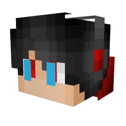 _DarkSide05_ Minecraft avatar head, 3D render