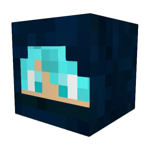 _Dark_Hunter_ Minecraft avatar head, 3D render