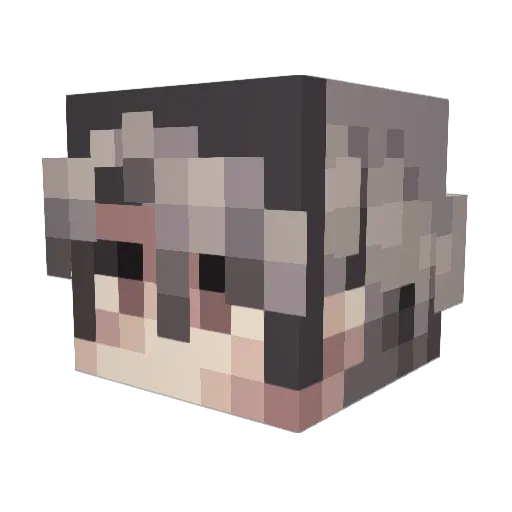 _Darkin Minecraft avatar head, 3D render