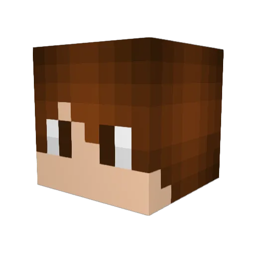 _DarkyS_ Minecraft avatar head, 3D render