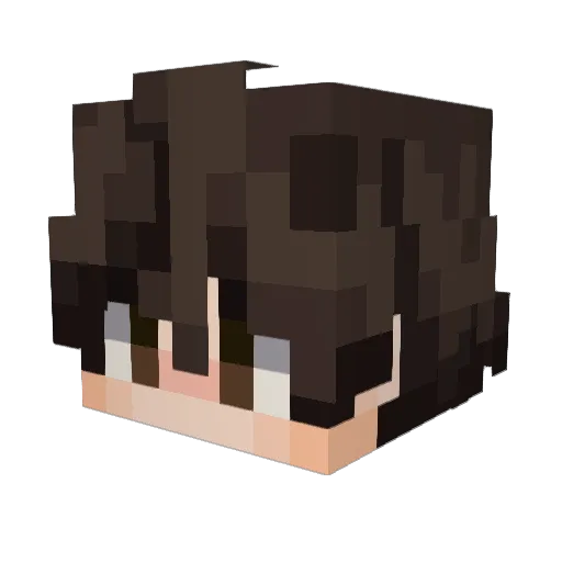 _Darlin Minecraft avatar head, 3D render