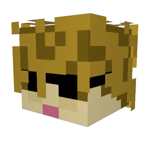 _Dawidequ_ Minecraft avatar head, 3D render