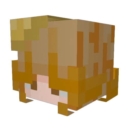 _Day1ight_ Minecraft avatar head, 3D render