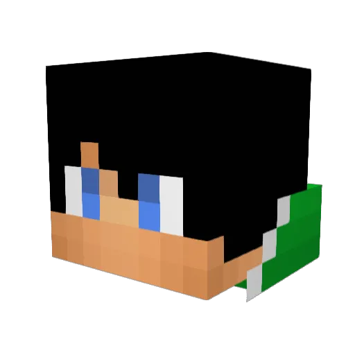 _DeeZee_ Minecraft avatar head, 3D render