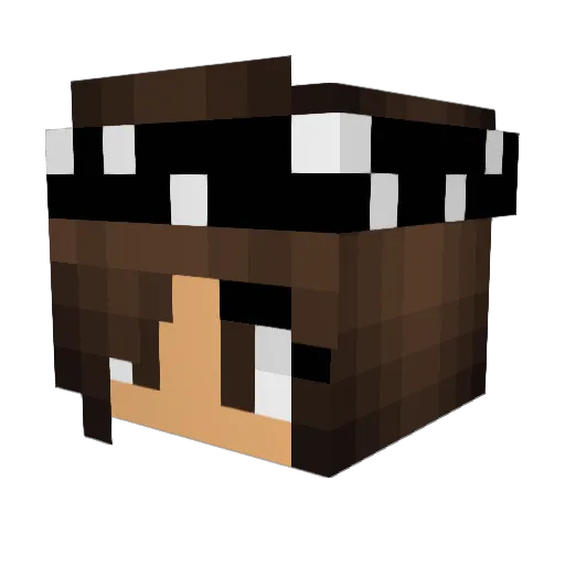 _Delusional Minecraft avatar head, 3D render