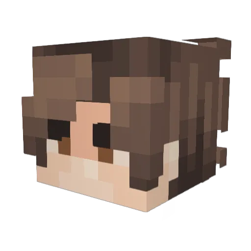 _Demoo_ Minecraft avatar head, 3D render
