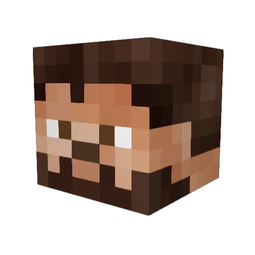 _DenyX_ Minecraft avatar head, 3D render