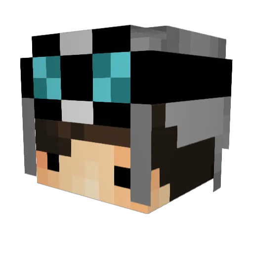 _DerBusfahrer_ Minecraft avatar head, 3D render