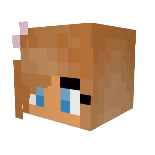 _Derptastic_ Minecraft avatar head, 3D render