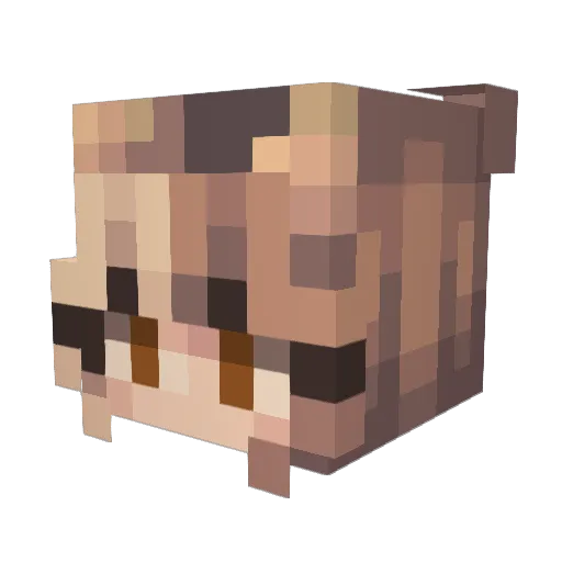 _Derry__ Minecraft avatar head, 3D render