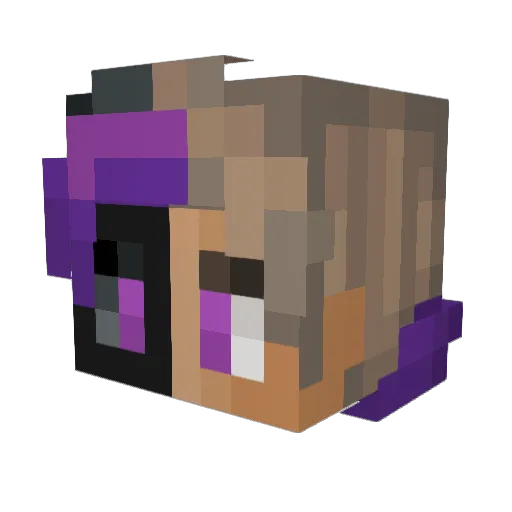 _Destructor9000 Minecraft avatar head, 3D render