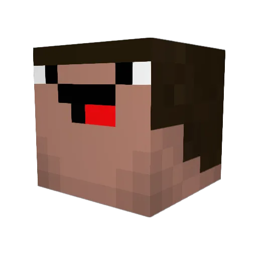_DiCraft_ Minecraft avatar head, 3D render