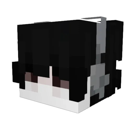 _Disq_Radisq Minecraft avatar head, 3D render