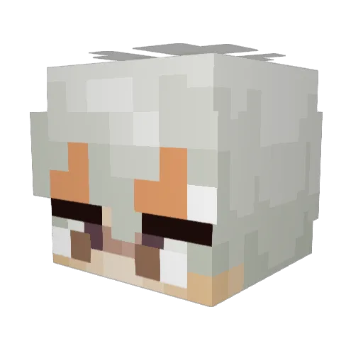 _Document Minecraft avatar head, 3D render