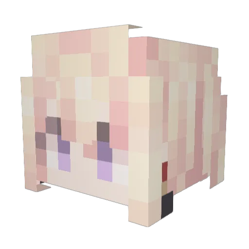 _Dolor1s Minecraft avatar head, 3D render
