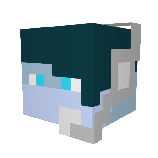 _Dolphin_Sea Minecraft avatar head, 3D render