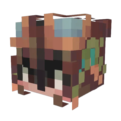 _Dompy_ Minecraft avatar head, 3D render