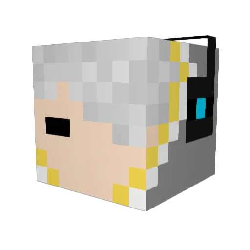_Don_Don_ Minecraft avatar head, 3D render