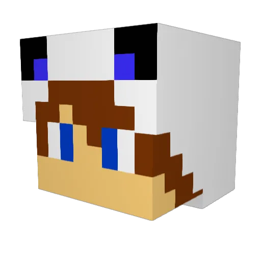 _Dongx3 Minecraft avatar head, 3D render