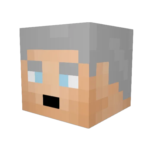 _DonutRapl_ Minecraft avatar head, 3D render