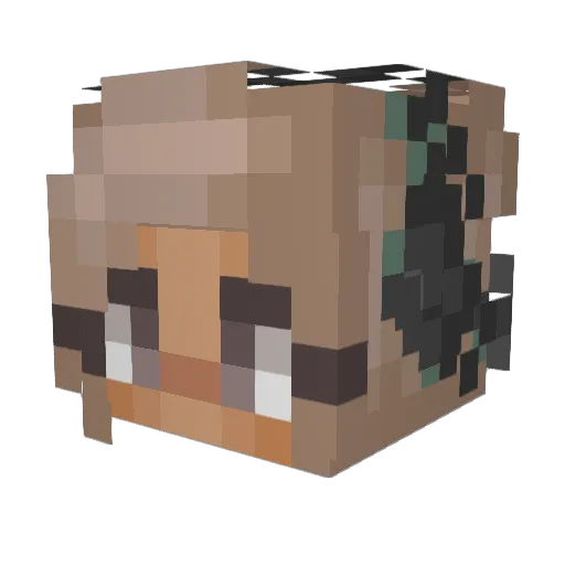 _DonutTouchThis_ Minecraft avatar head, 3D render