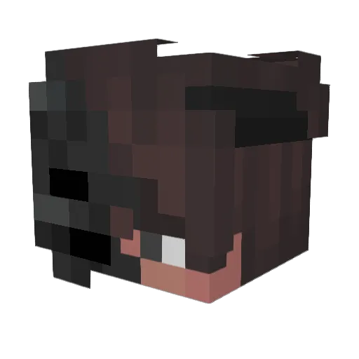 _Doormqtt Minecraft avatar head, 3D render