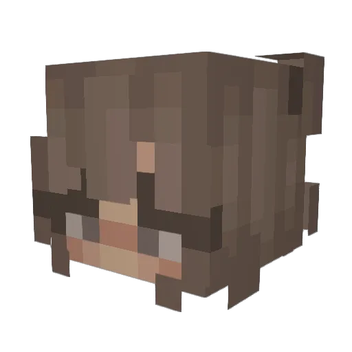 _Dqisy_ Minecraft avatar head, 3D render