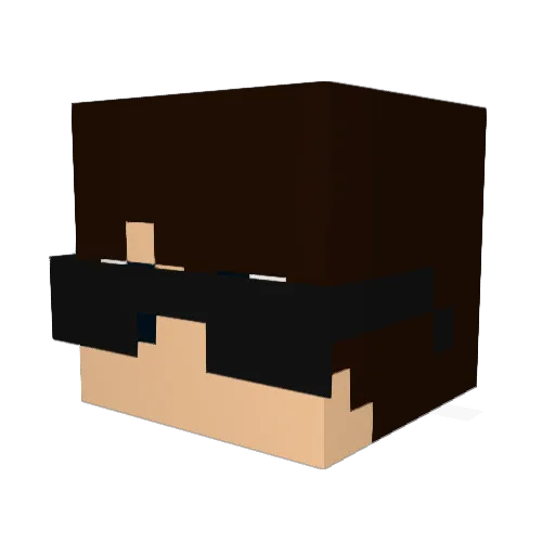 _DrNox_ Minecraft avatar head, 3D render