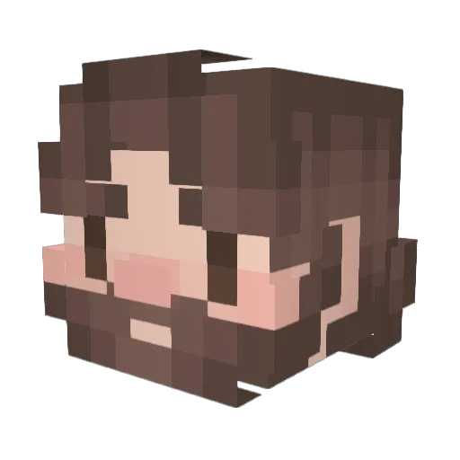 _DrakJR Minecraft avatar head, 3D render