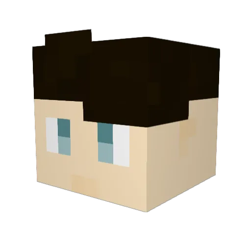 _Drakes_ Minecraft avatar head, 3D render