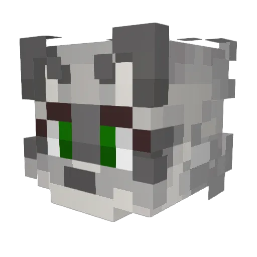 _Drakyn Minecraft avatar head, 3D render