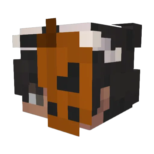 _Drayx Minecraft avatar head, 3D render